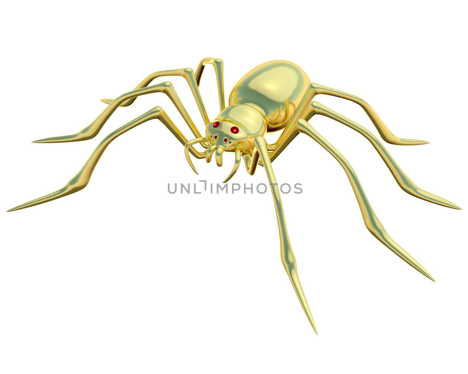  Gold spider on the white background