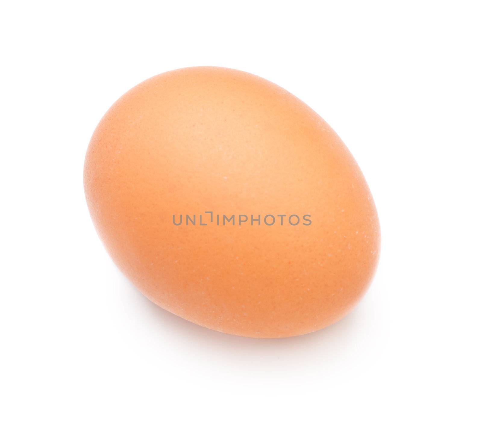 single brown egg isolated on white background