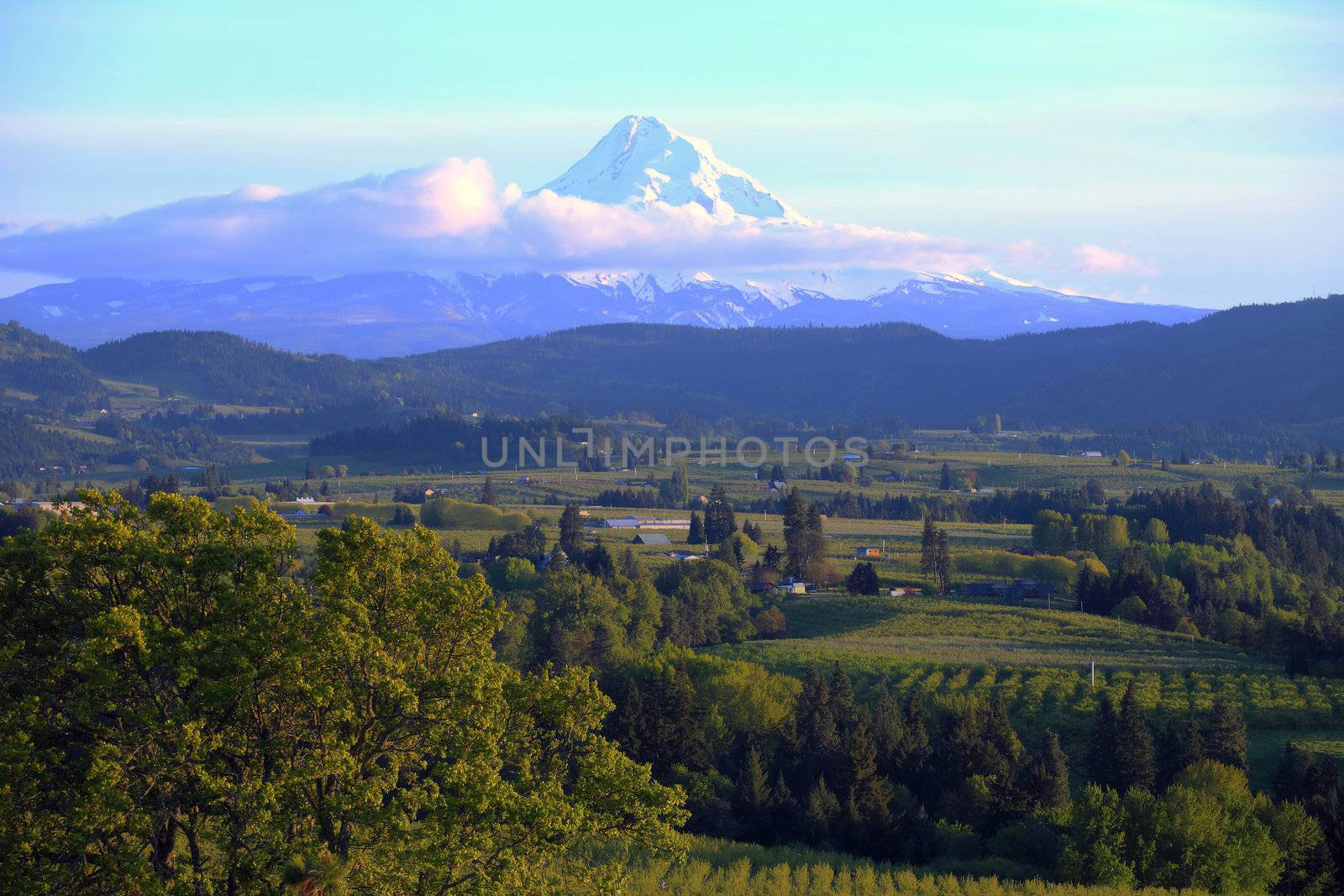 Mt. Hood and Hood River valley at sunset, Oregon.