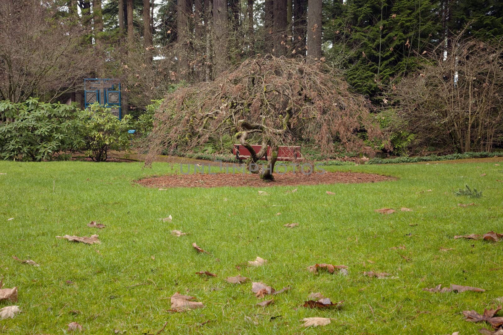 The Grotto gardens in Portland Oregon.