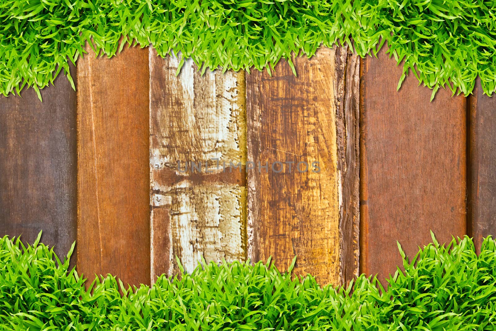 green grass on wood background by tungphoto