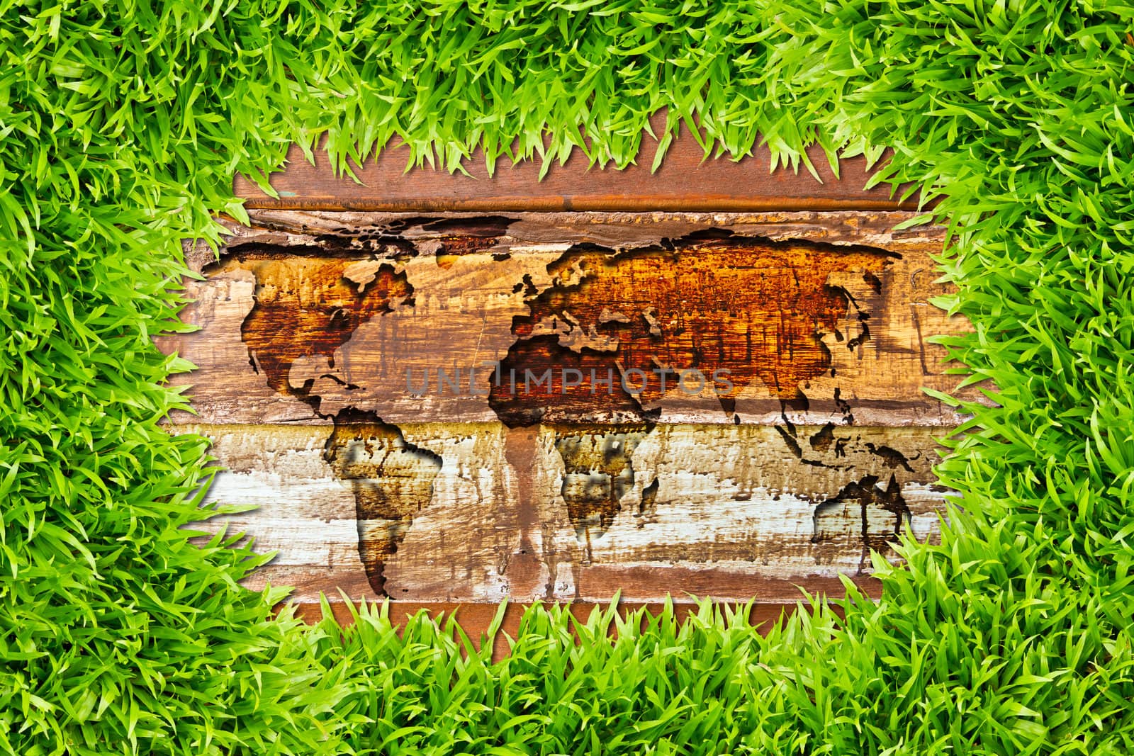 green grass and world map on wood texture