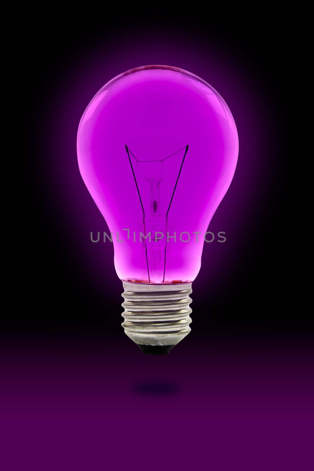 purple light bulb by tungphoto