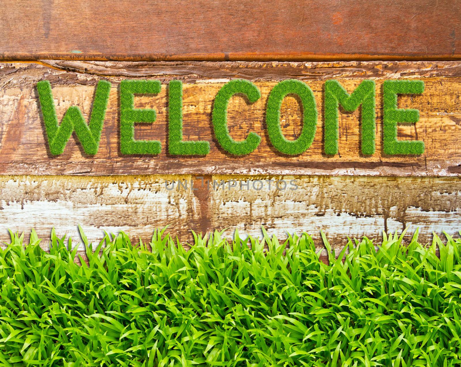 green grass welcome word on wood background