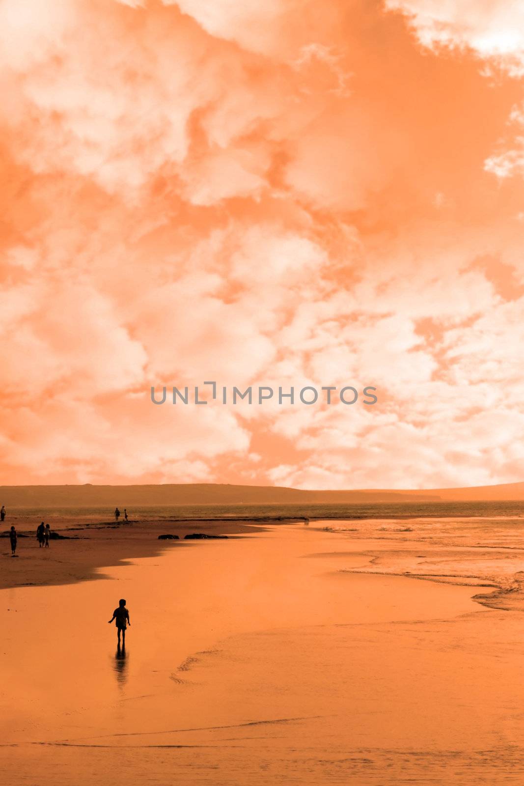 a lone child in silhouette against a golden sunset astray from its family