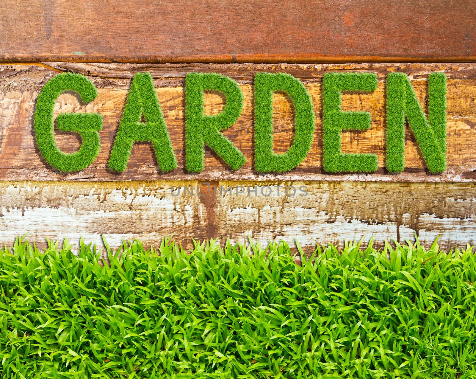 green grass garden word on wood background