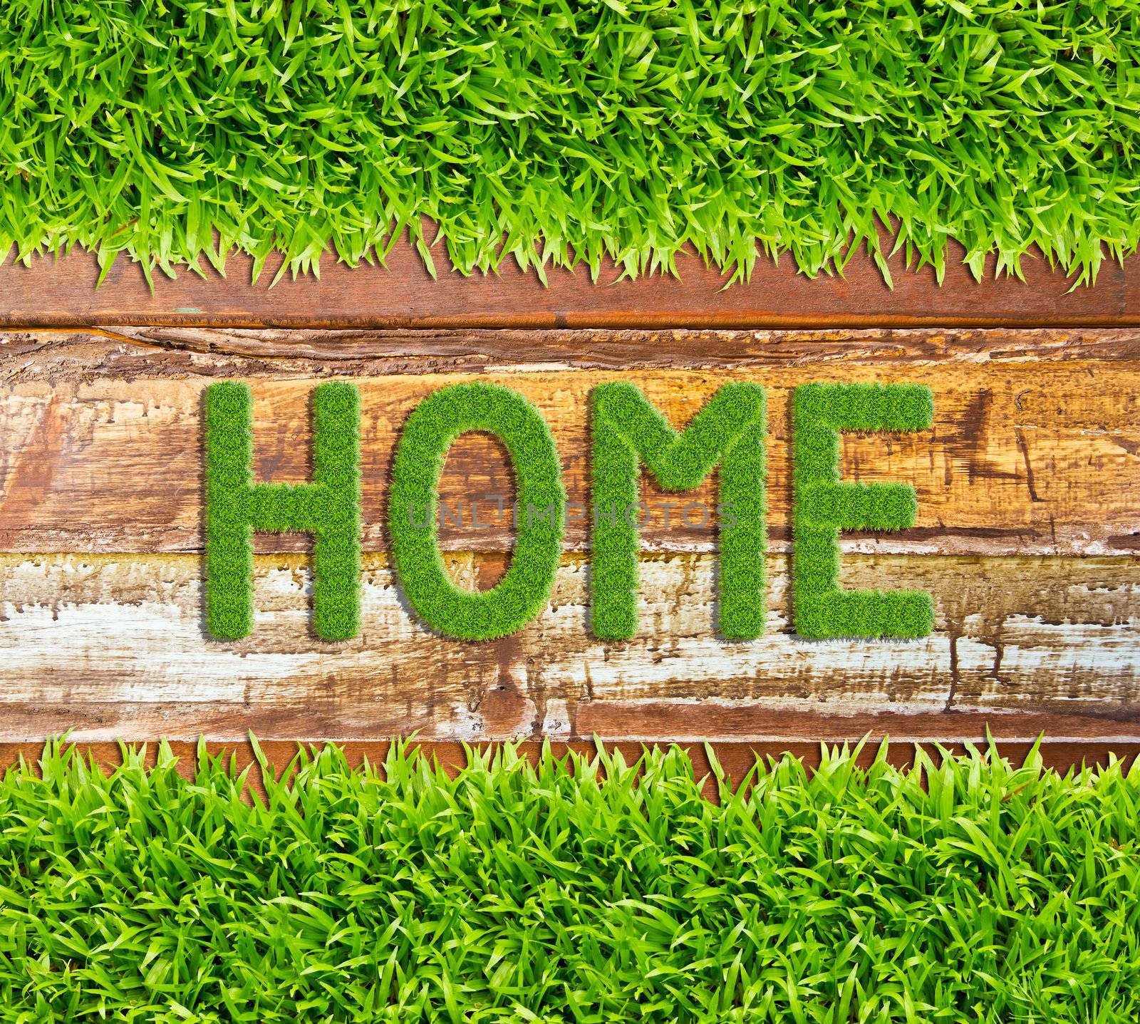 green grass home word on wood background by tungphoto