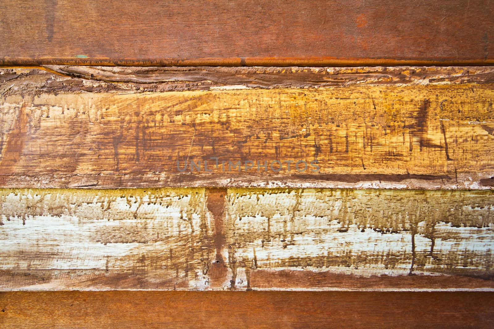wood texture  by tungphoto