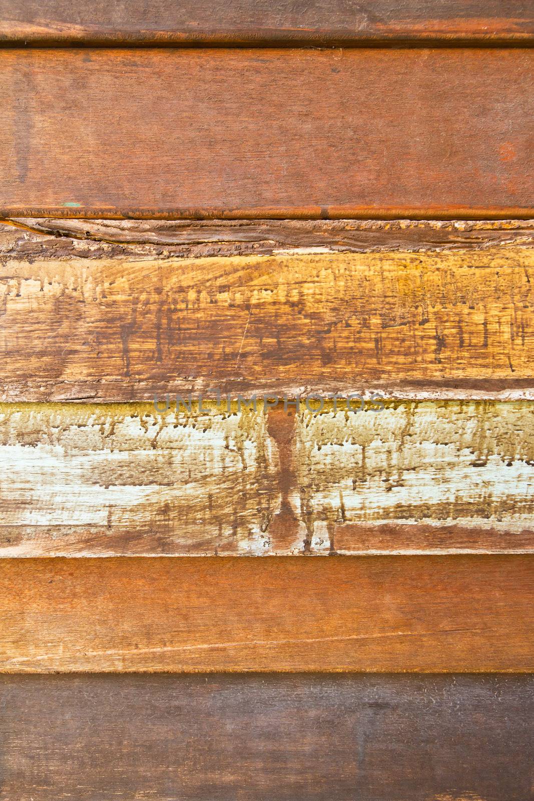wood texture  by tungphoto