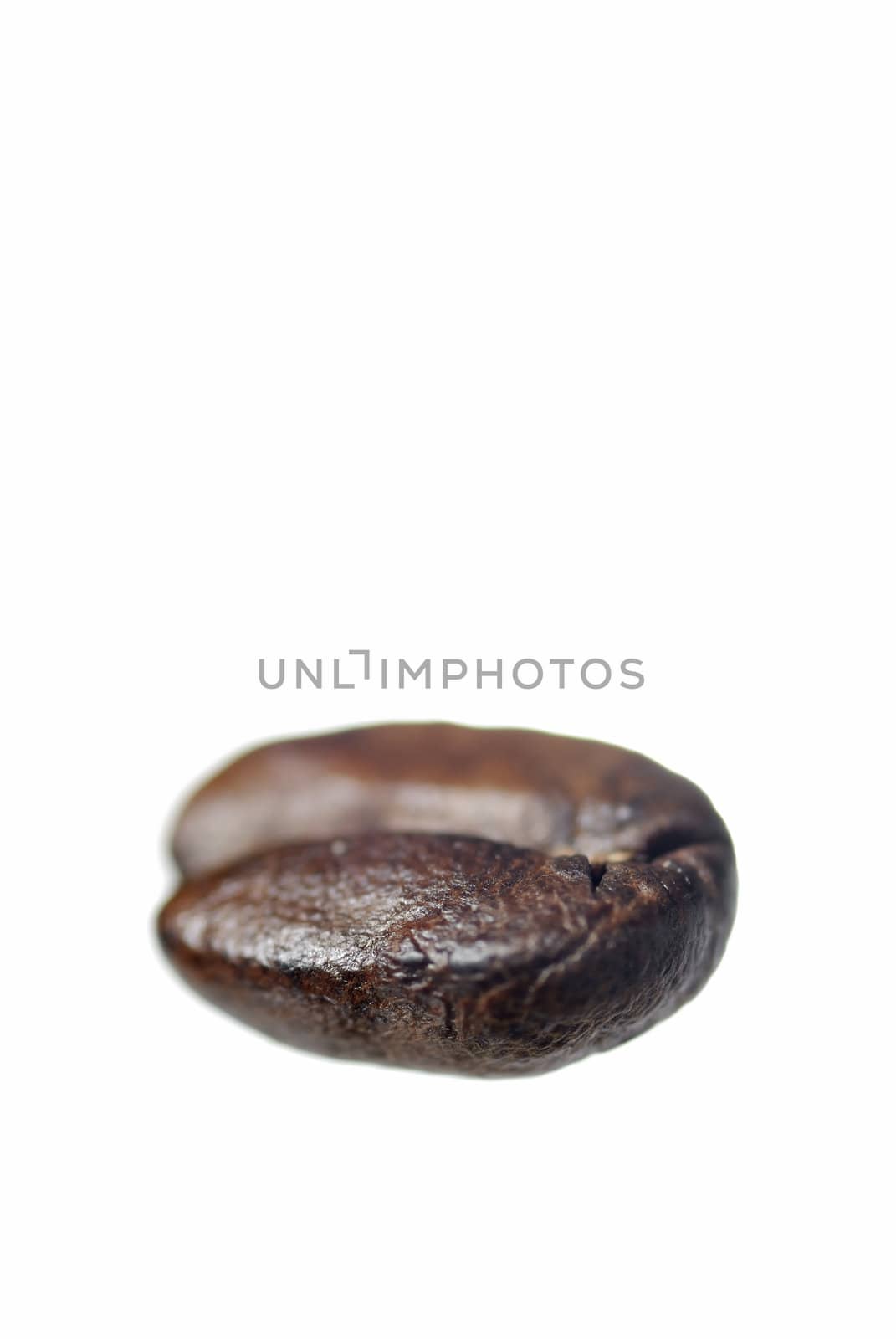 Studio Macro Shot of One Arabica Coffee Bean.