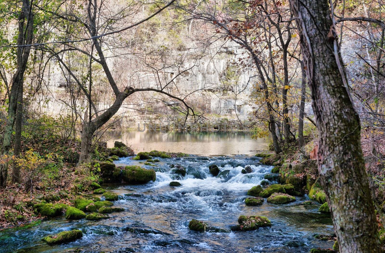 beautiful little stream in autumn in missouri