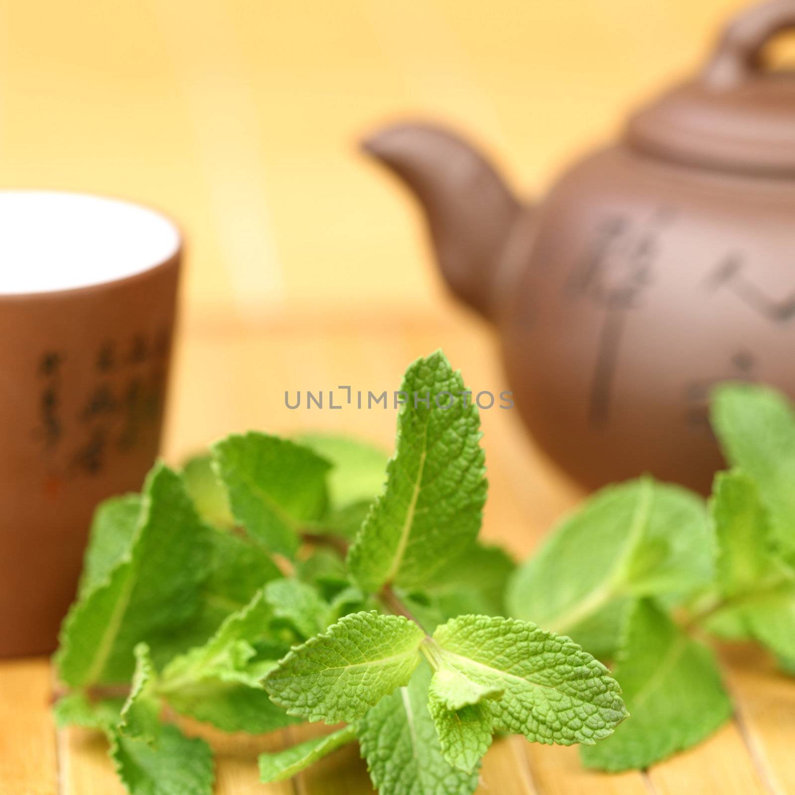mint tea on china background