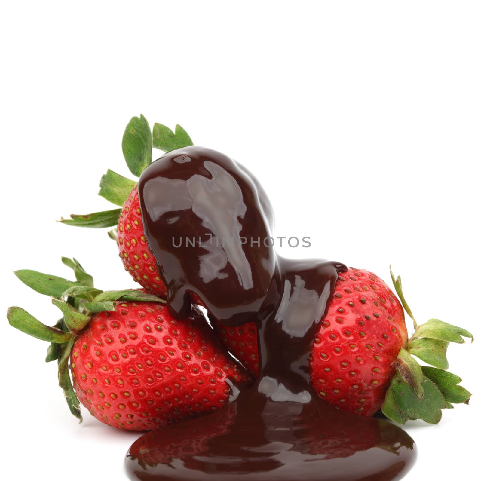 strawberry in chocolate  isolated on white