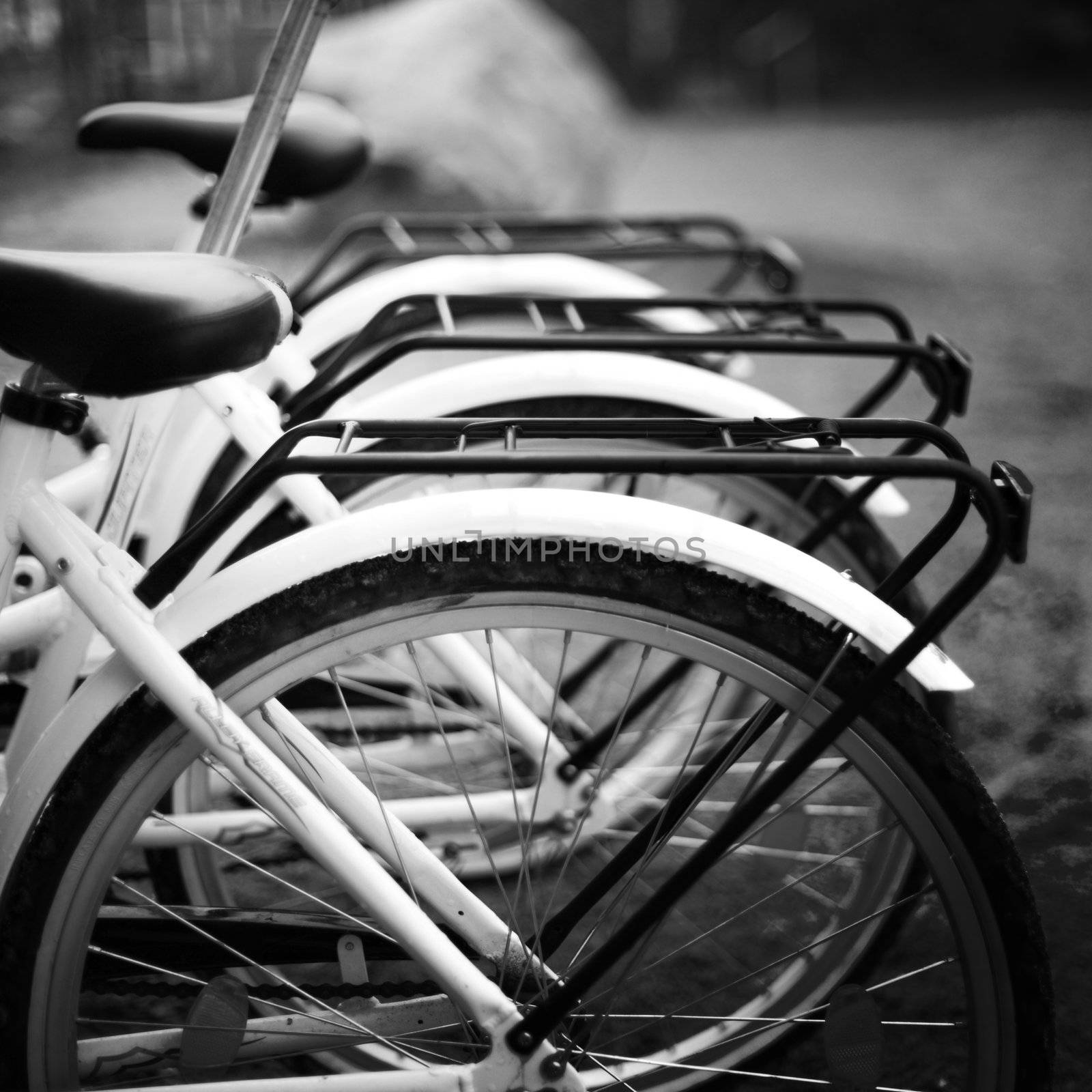  bicycles close up