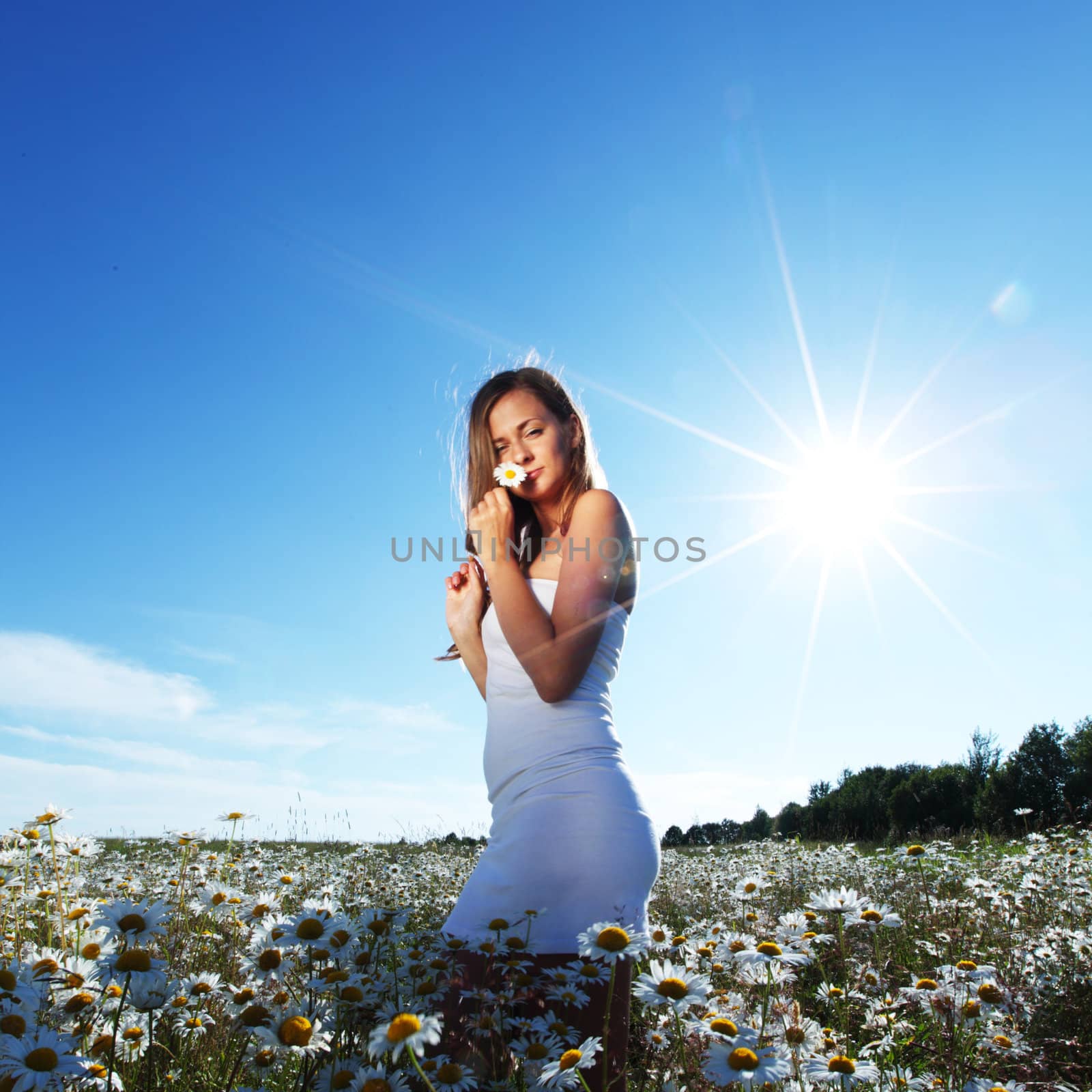  beautiful girl  in dress on the sunny daisy flowers field 