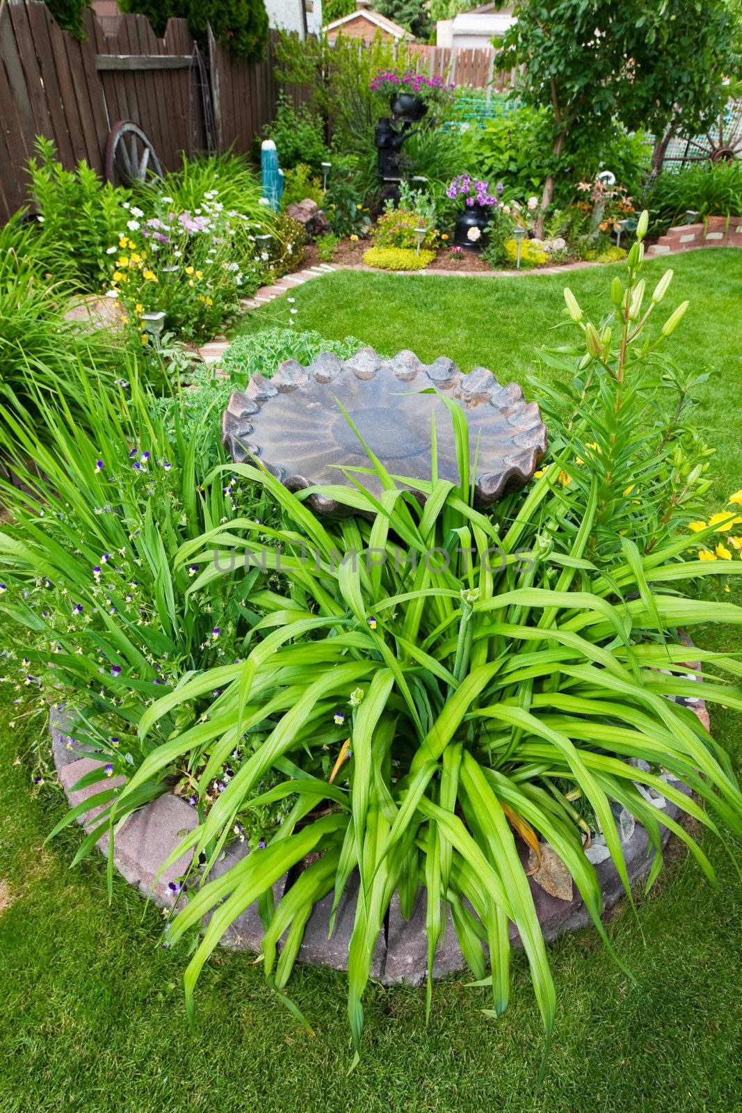 Bird Bath Garden Feature by songbird839