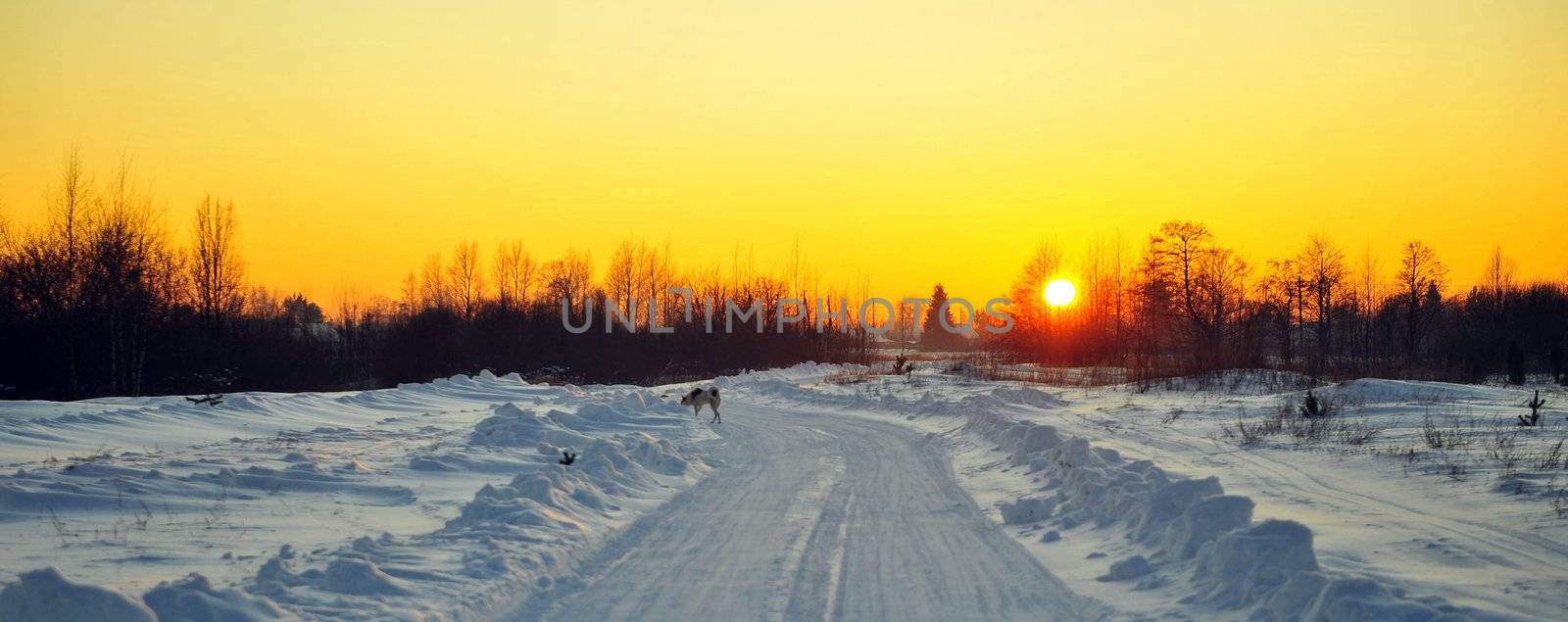 Winter sunset on the snow covered Road.