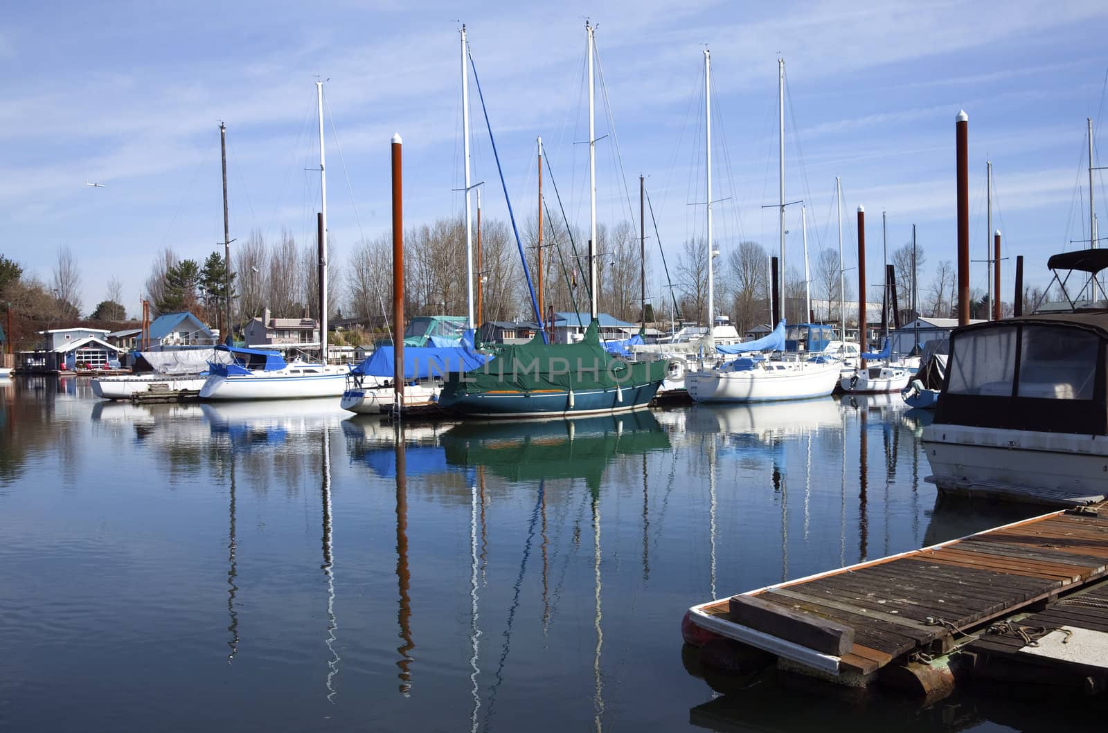 Sailboats moored in a marina in Portland OR.