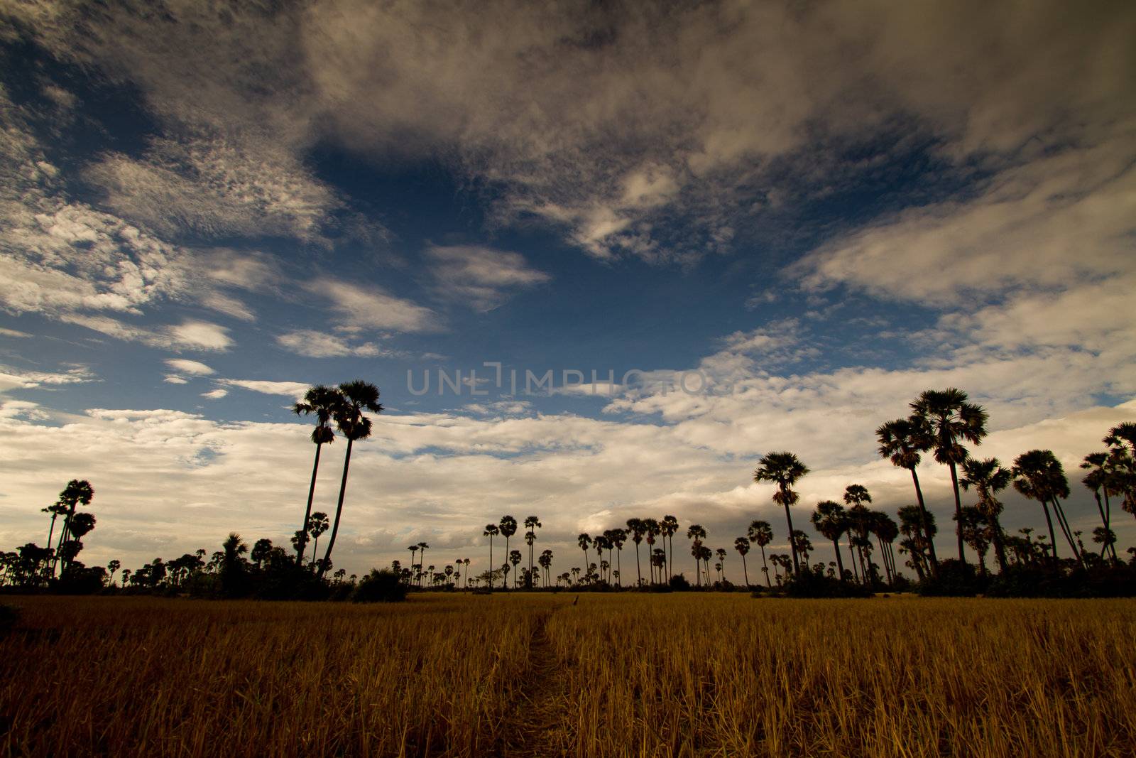 Landscape, mountins, white clouds and blue sky