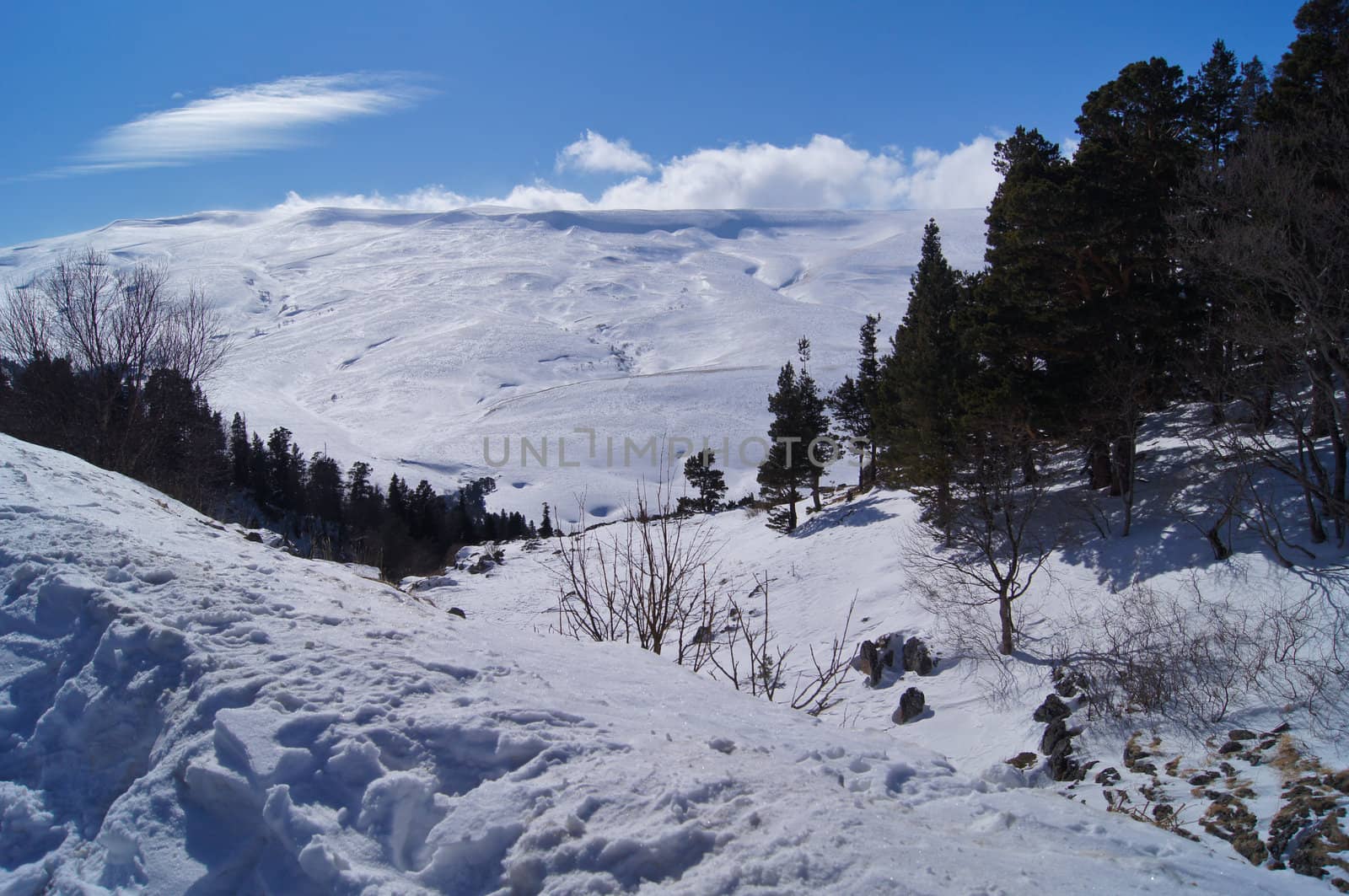 The magnificent mountain scenery of the Caucasus Nature Reserve