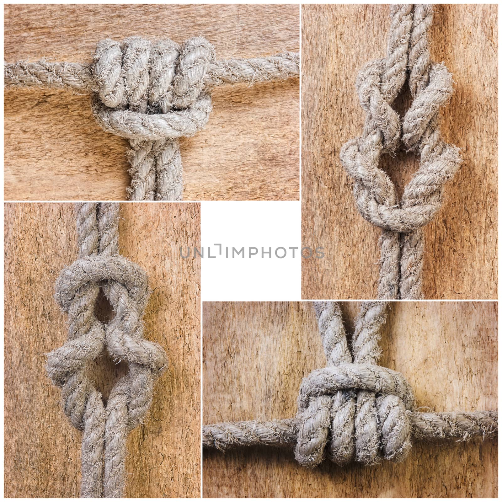 Rope with knots by oleg_zhukov