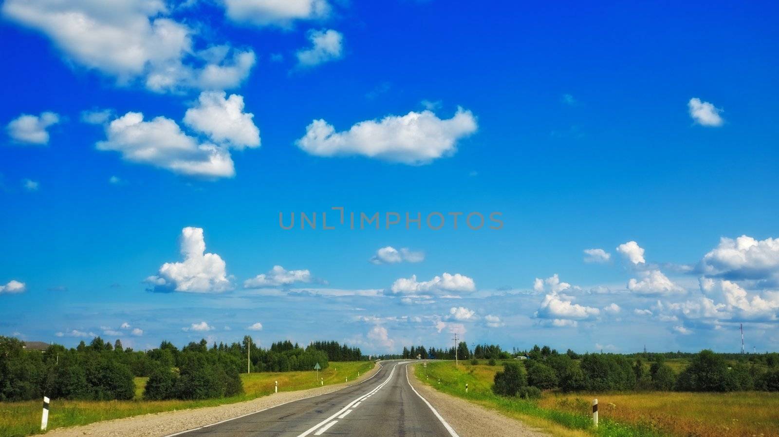 fast highway in forest under clean blue sky