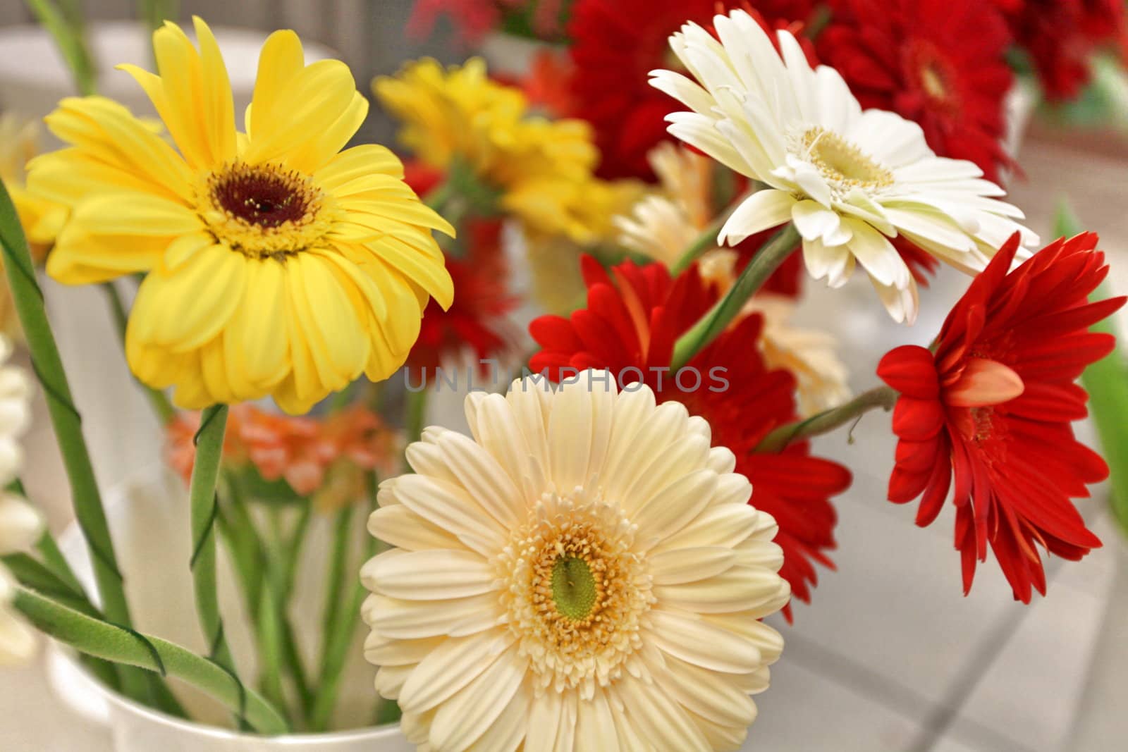 bouquet of chrysanthemums