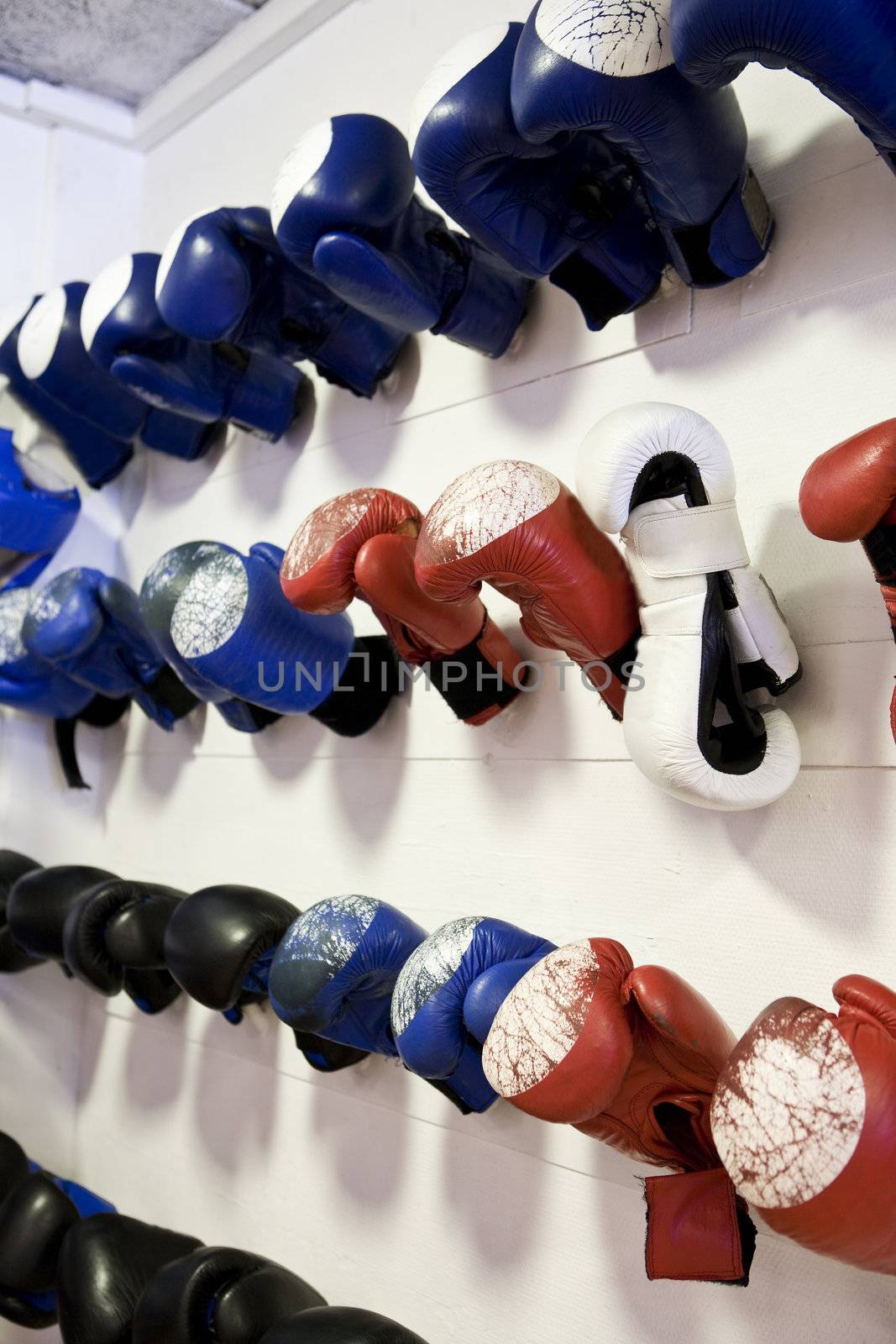 Large group of Boxing Gloves on a wall