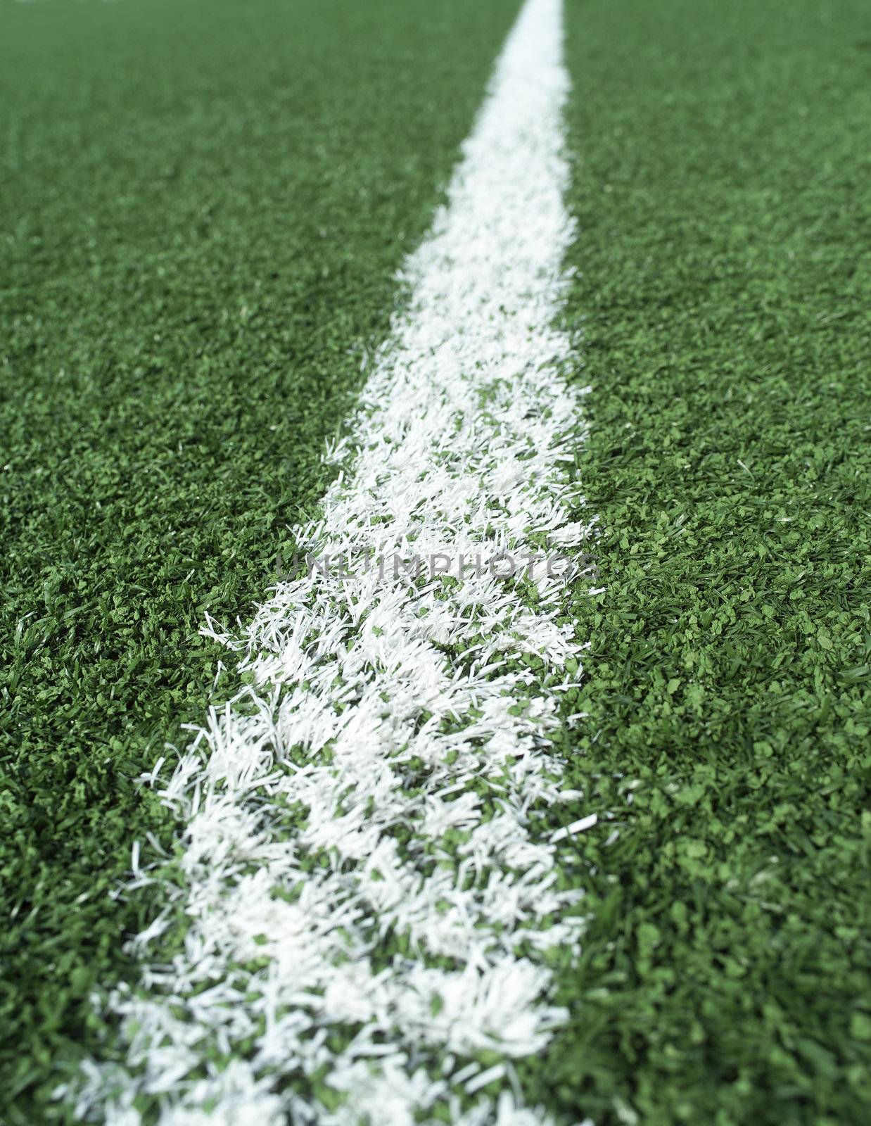 Detail on a Soccer Field