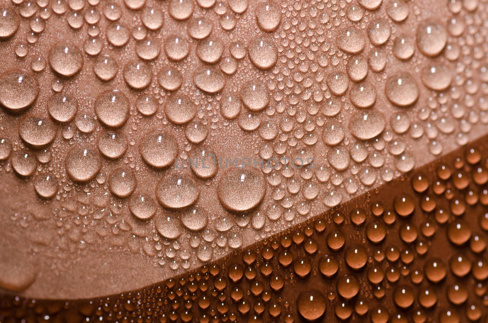 fresh water drops in green nature or in forest