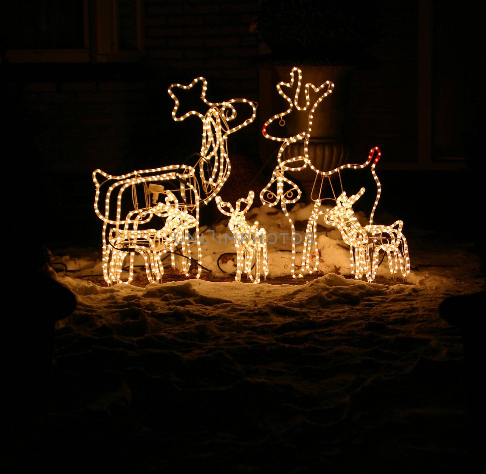 Reindeer Christmas decoration