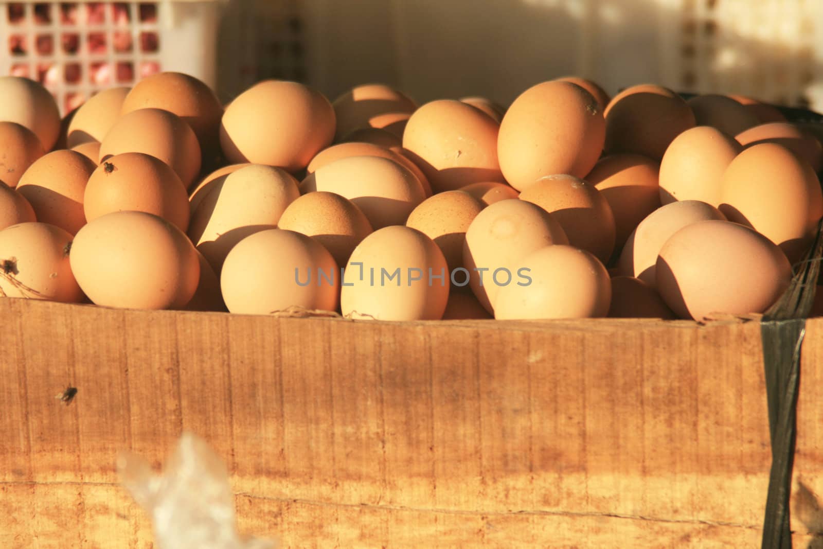 Eggs found in an old market.