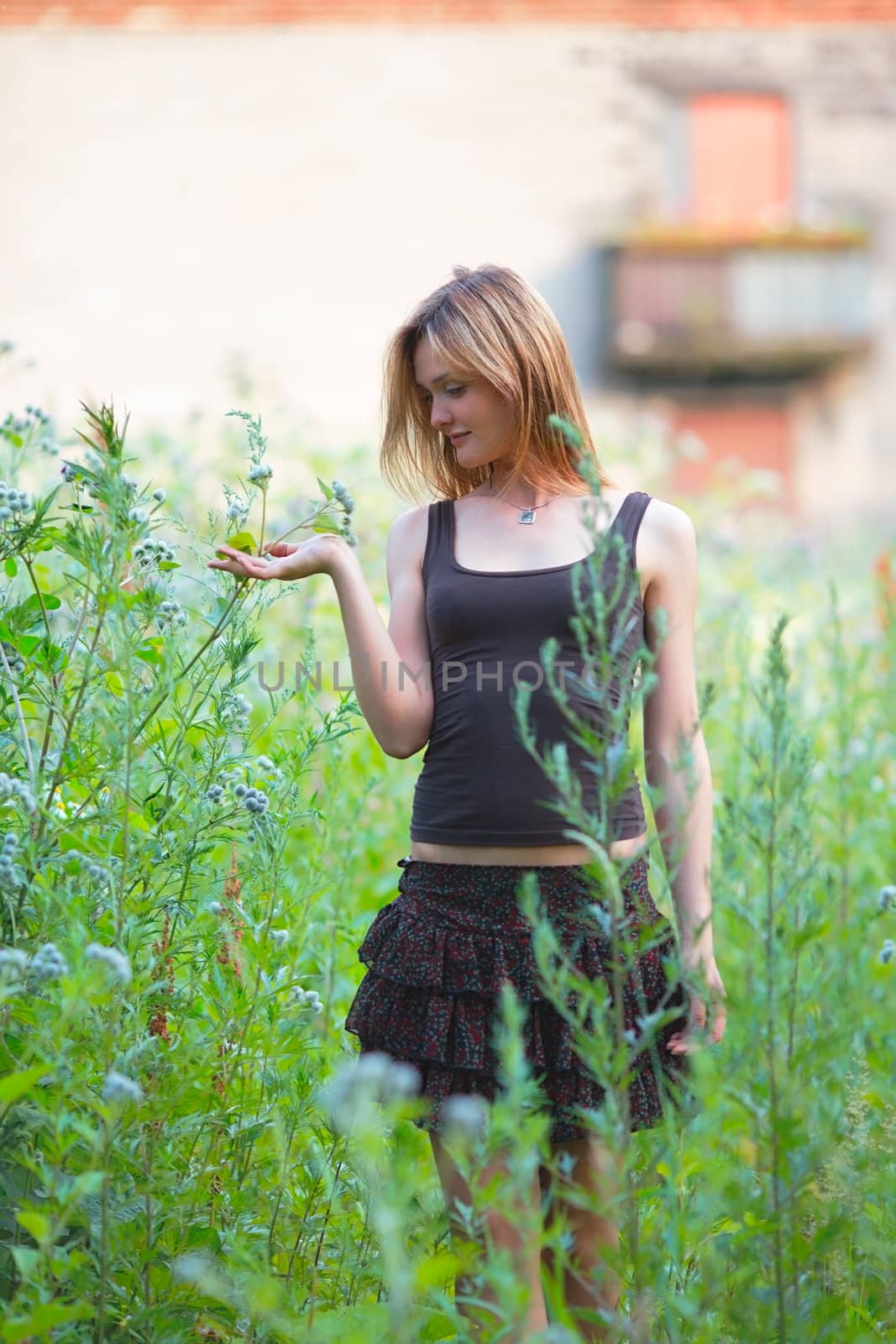 beautiful blond girl in high grass at summer day