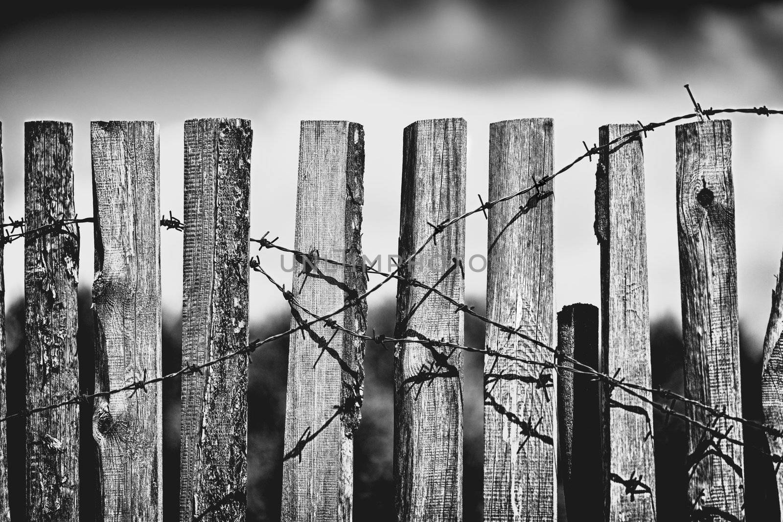 Fence With Barbed Wire by petr_malyshev