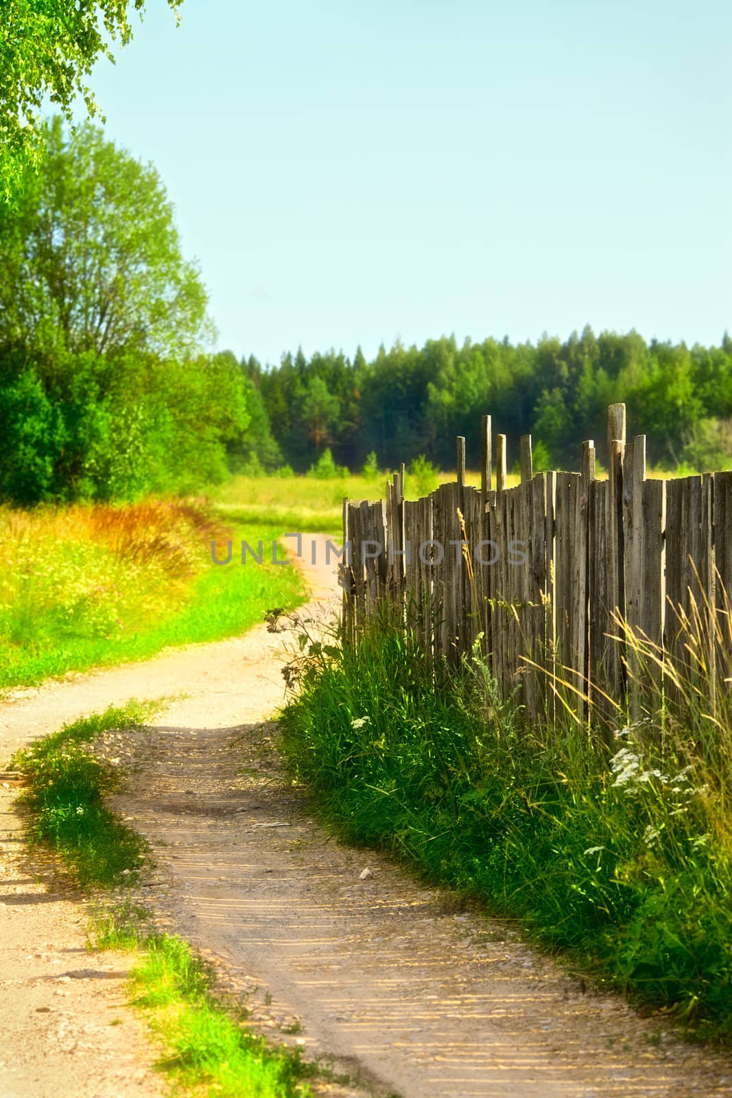 Countryside Road by petr_malyshev