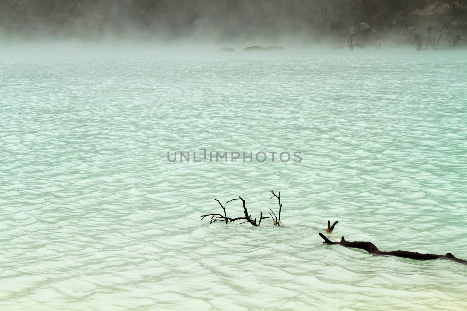 Driftwood in Foggy Lake by azamshah72