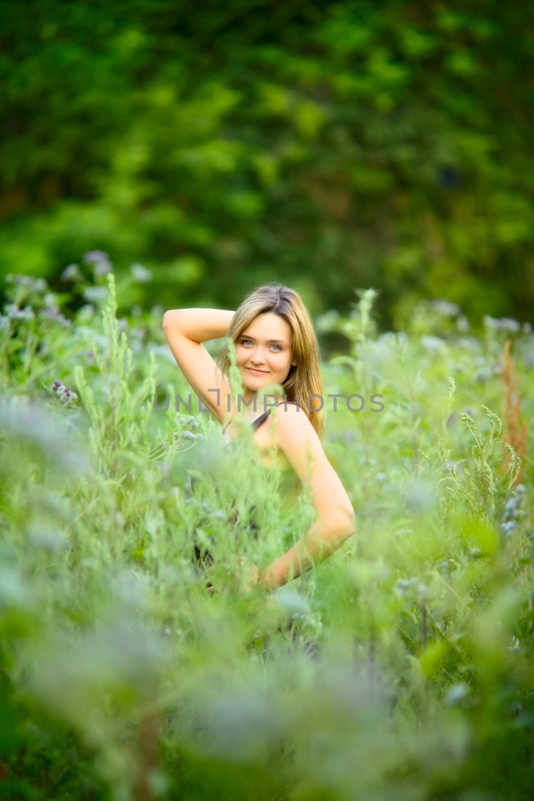 beautiful blond girl in high grass at summer day