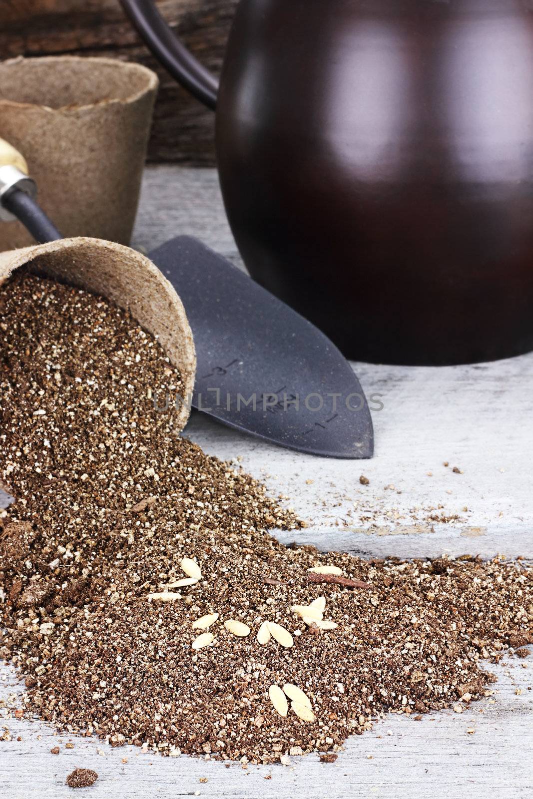Seeds and potting soil spilling from a biodegradable peat pot with trowel and watering can in background. Shallow DOF with selective focus on seeds. 