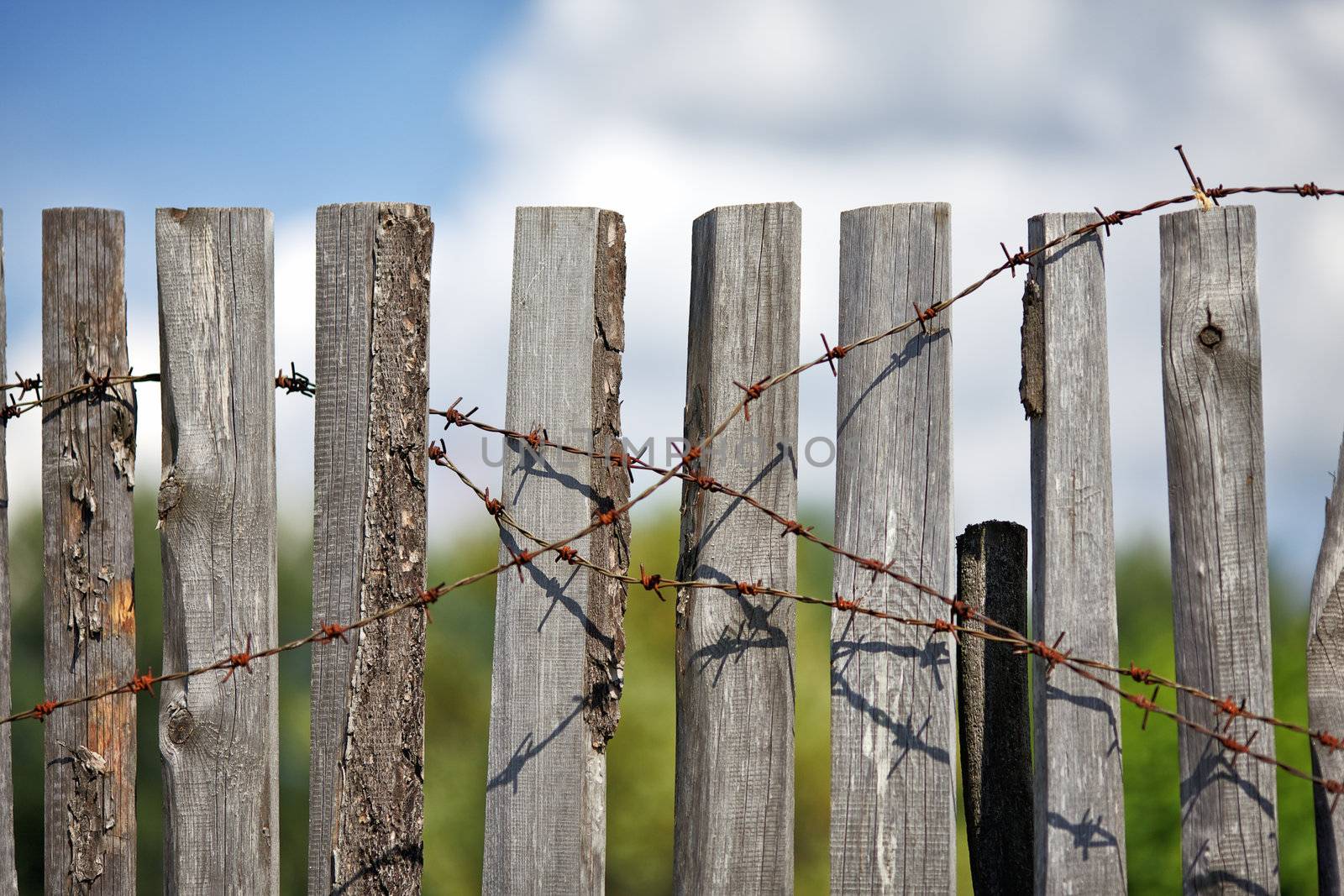 Fence With Barbed Wire by petr_malyshev