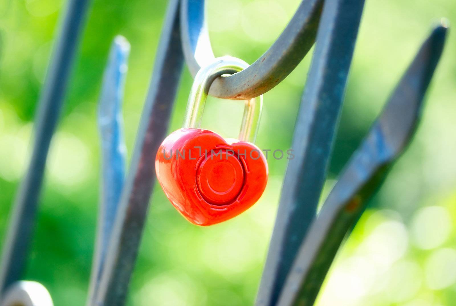 Love Lock by petr_malyshev