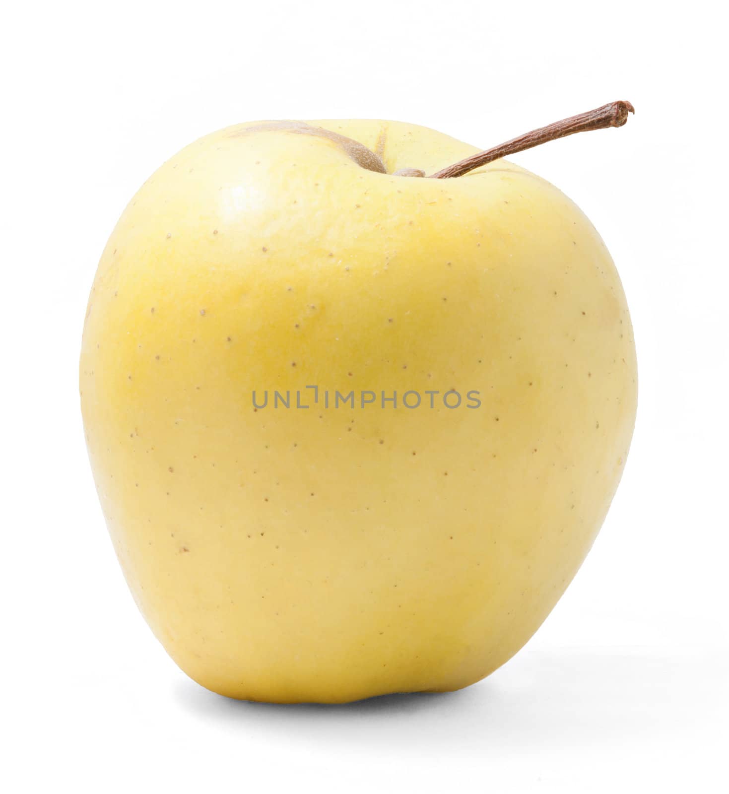 The apple isolated on the white background.