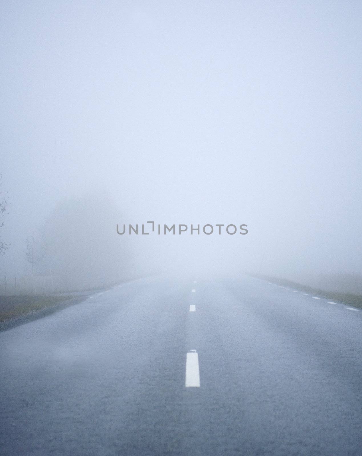 Fog Road by gemenacom