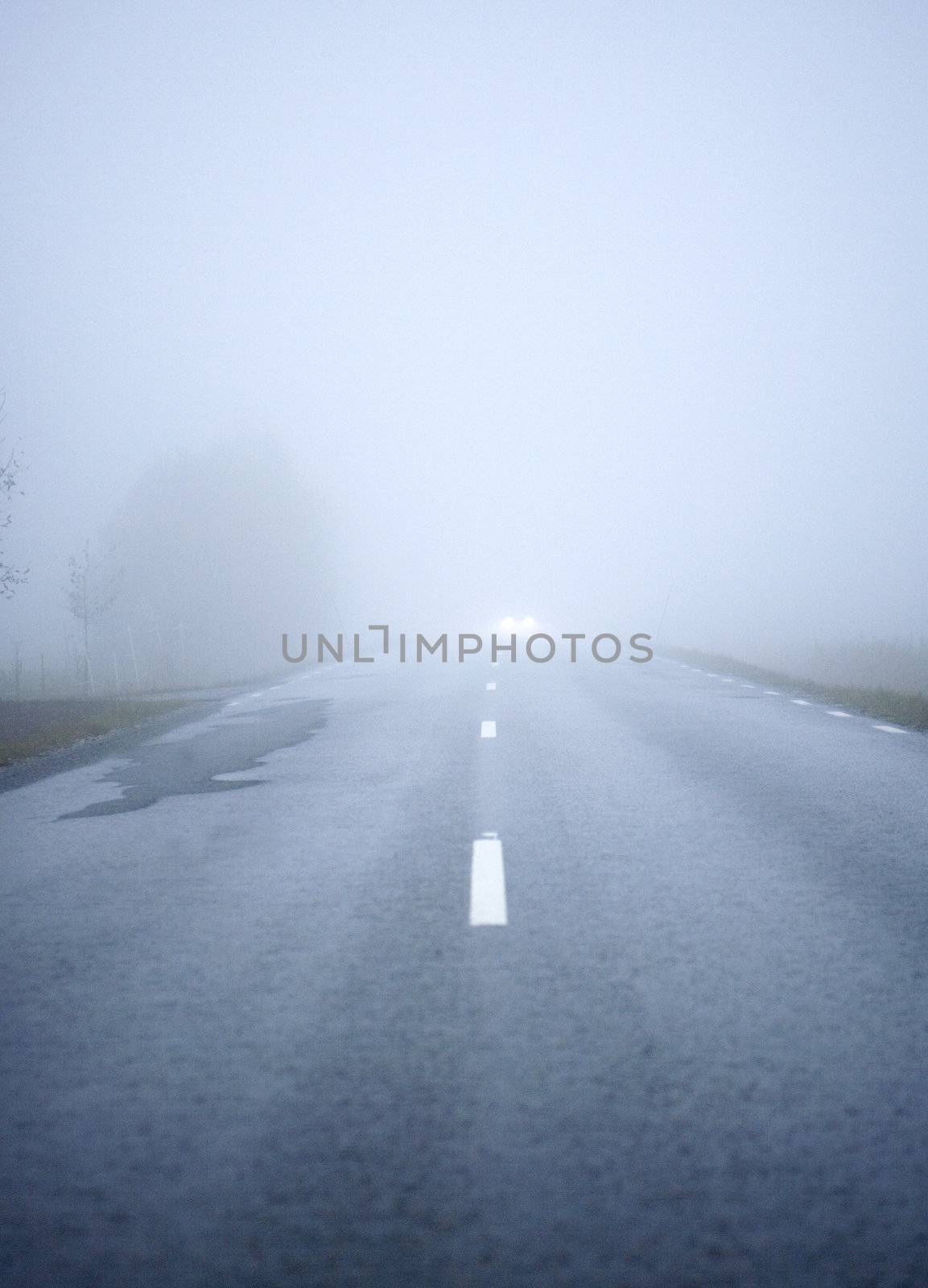 Fog Road by gemenacom