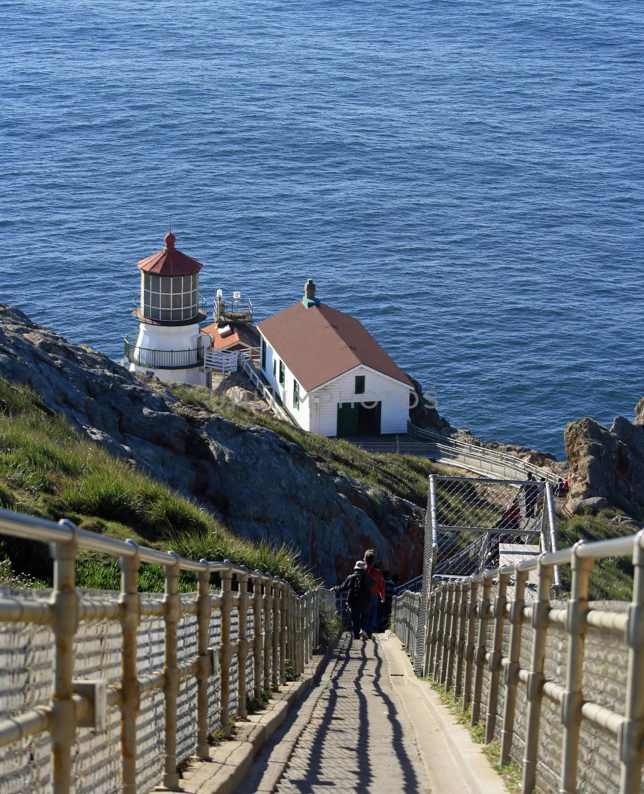 Stairs to Point Reyes Lighthouse by mcolleen