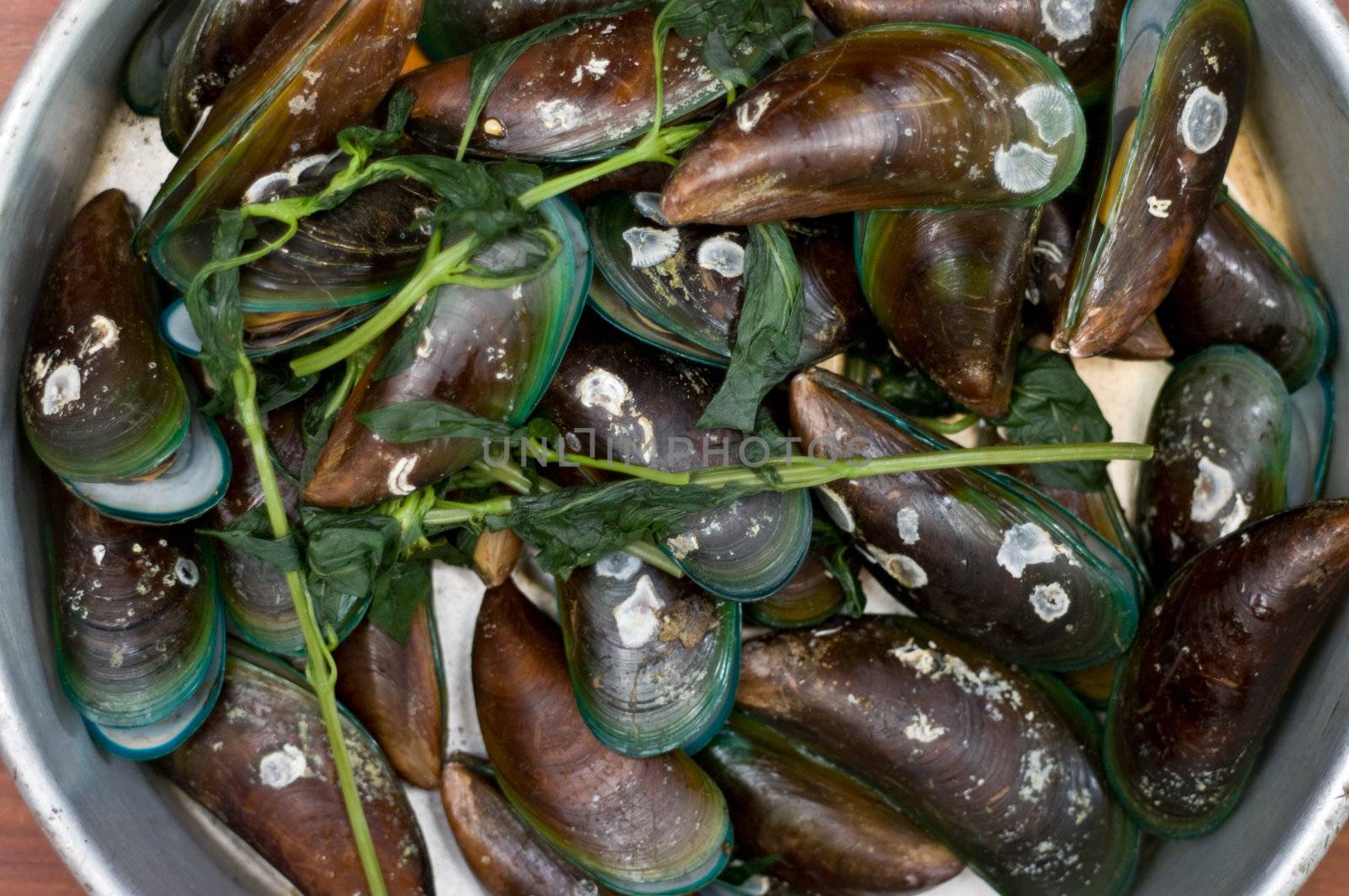 Boiled Asian green mussel on wooden table