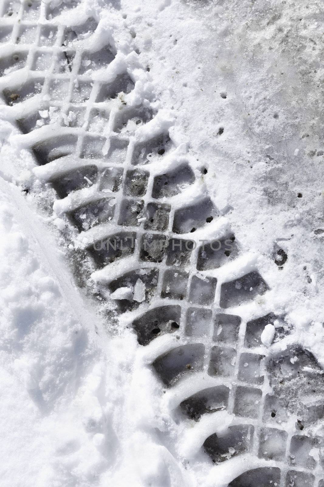 Tracks in snow  by Kuzma