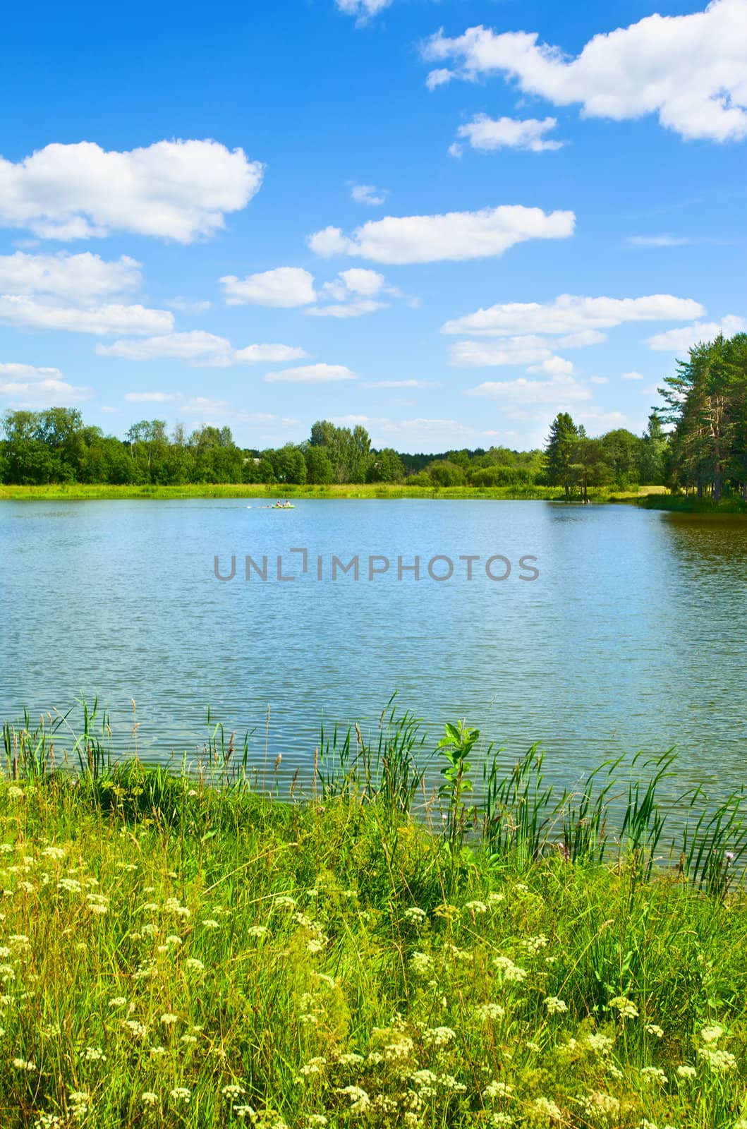 Summer Landscape by petr_malyshev