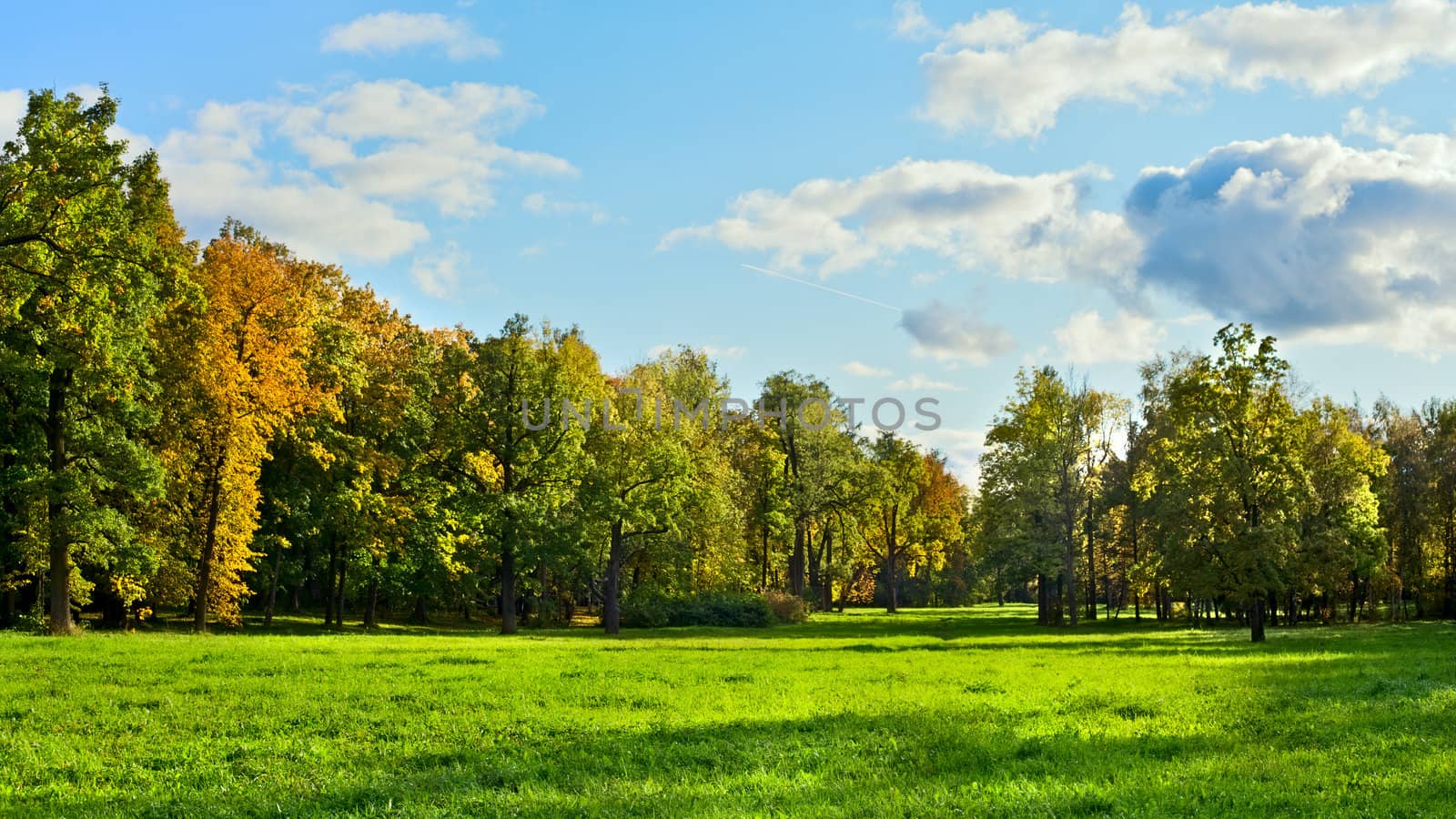 park with green meadow at early autumn