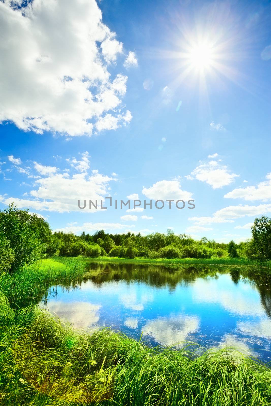 summer landscape with lake at sunny day