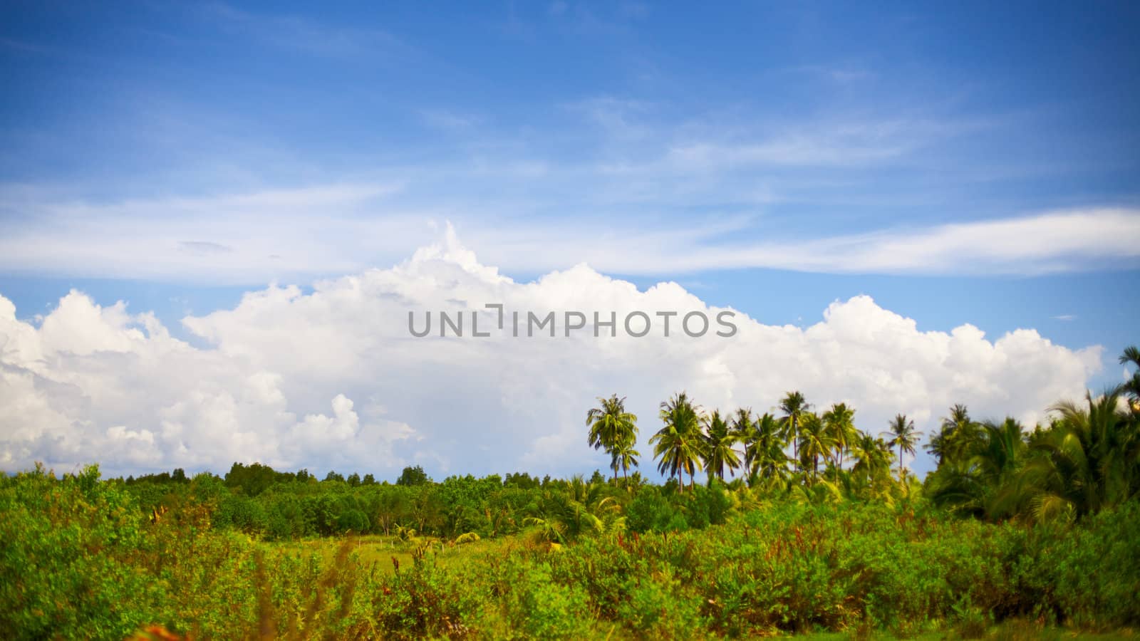 Thai Landscape by petr_malyshev